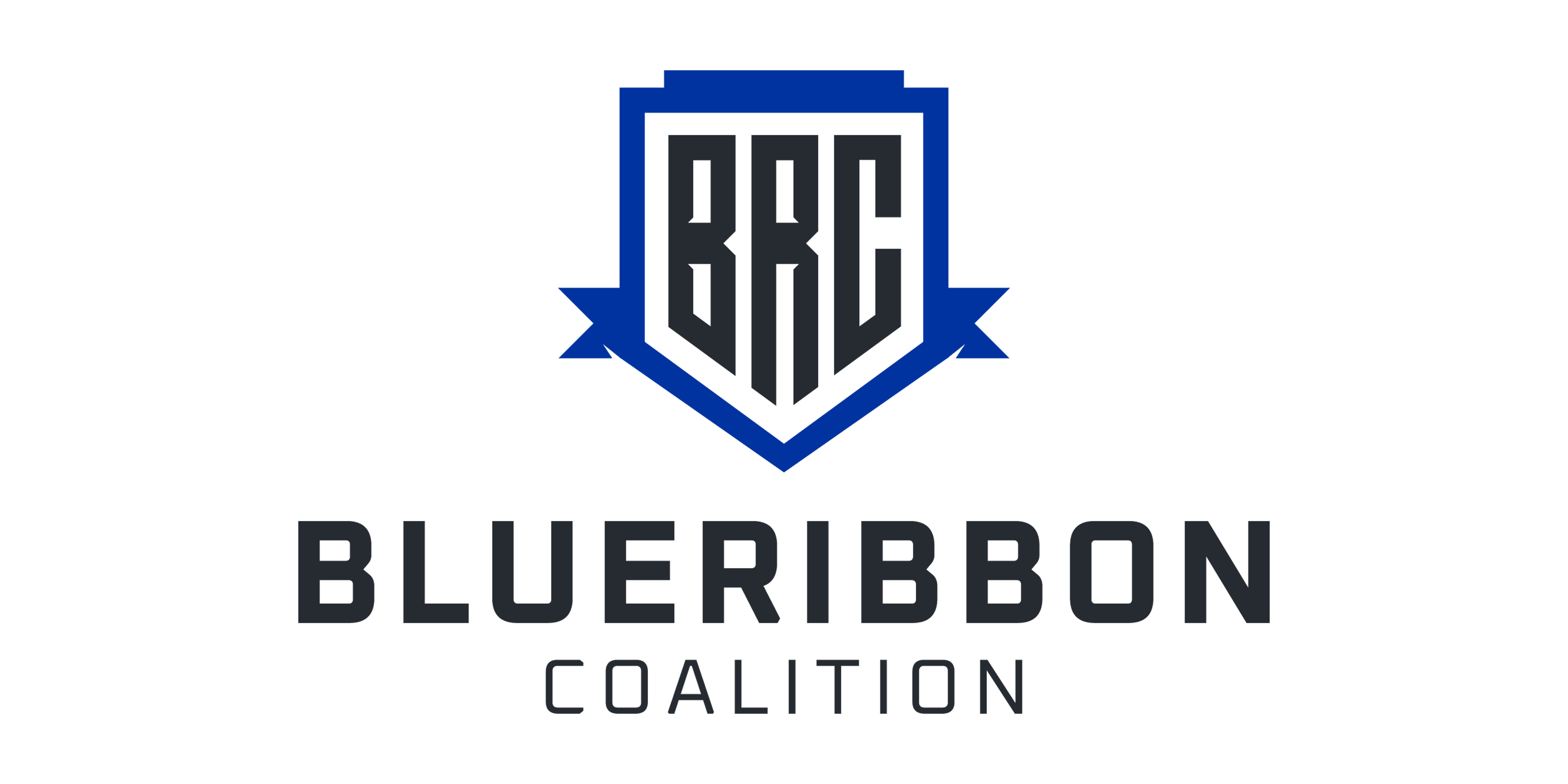 BlueRibbon Coalition